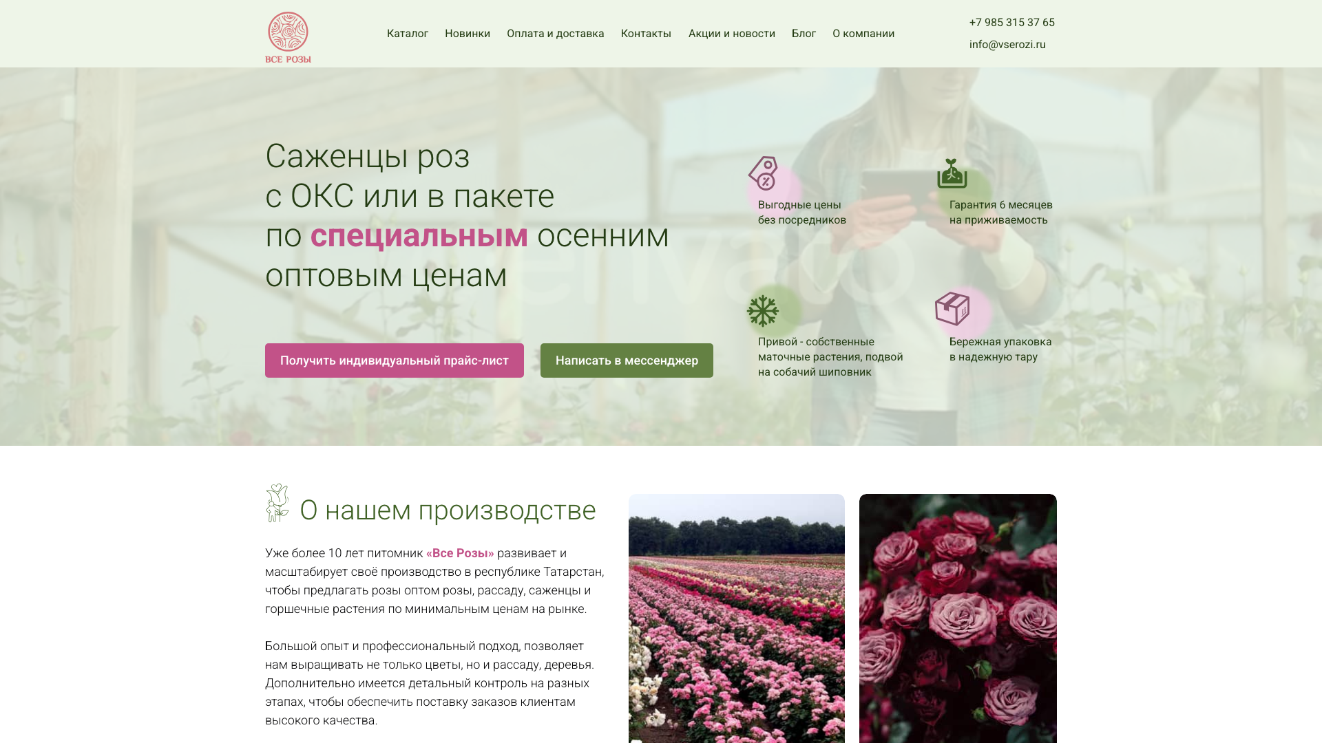 Саженцы роз с ОКС и ЗКС оптом